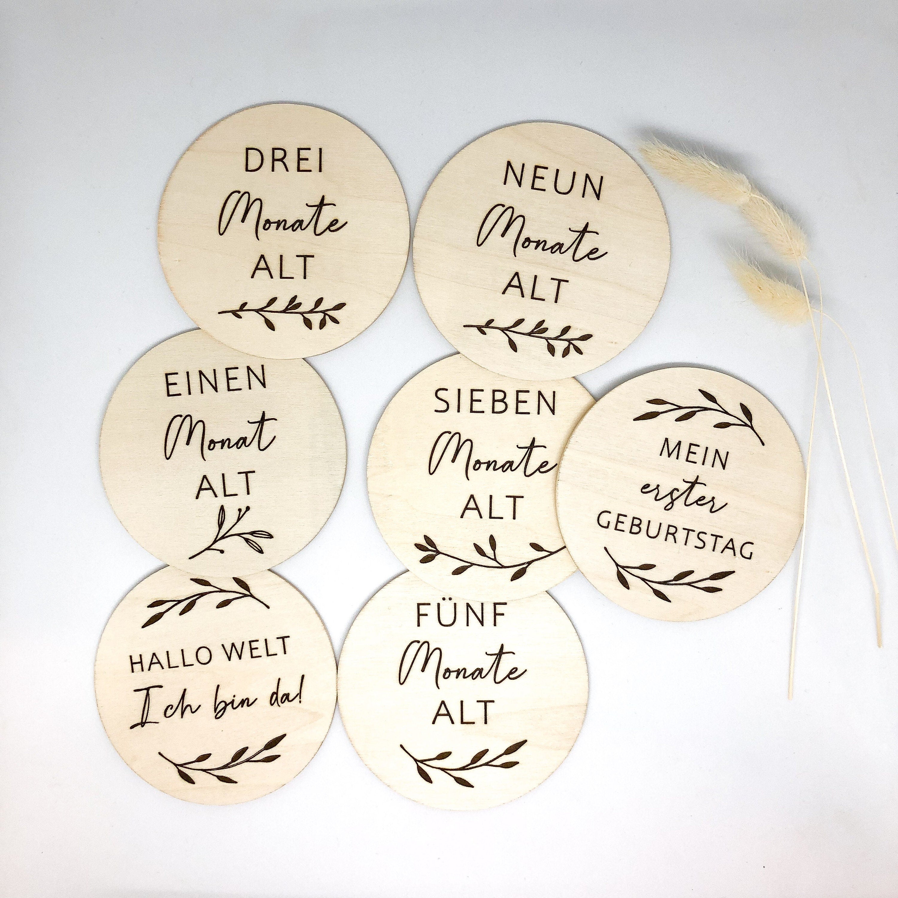 Meilensteine Baby Geschenk mein erstes Jahr